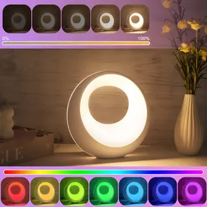 New touch bedside lamp, night light/remote control desk light, dimmable and color changing night light, 9-color ambient light with timed shutdown, USB charging/suitable for bedrooms, living rooms, birthday gift parties, Adjustable Lights