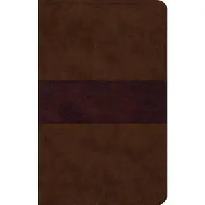 USED-ESV Large Print Thinline Bible (Trutone, Chocolate/Plum, Trail Design) by ESV Bibles by Crossway (Unknown)