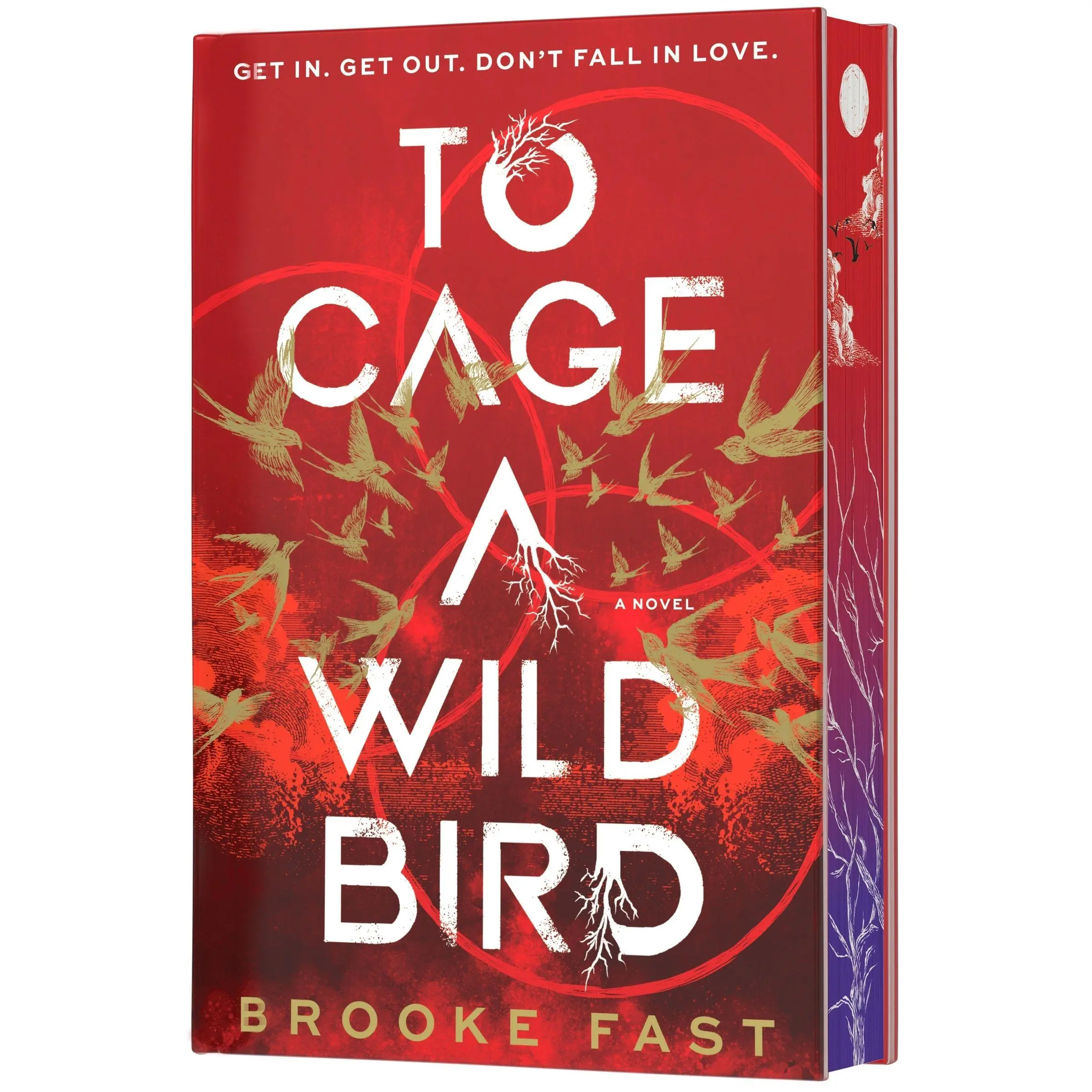 To Cage a Wild Bird Deluxe Limited Edition (Divided Fates: Volume Number 1) by Brooke Fast [Hardback Book] A Fast-Paced Dystopian Romance