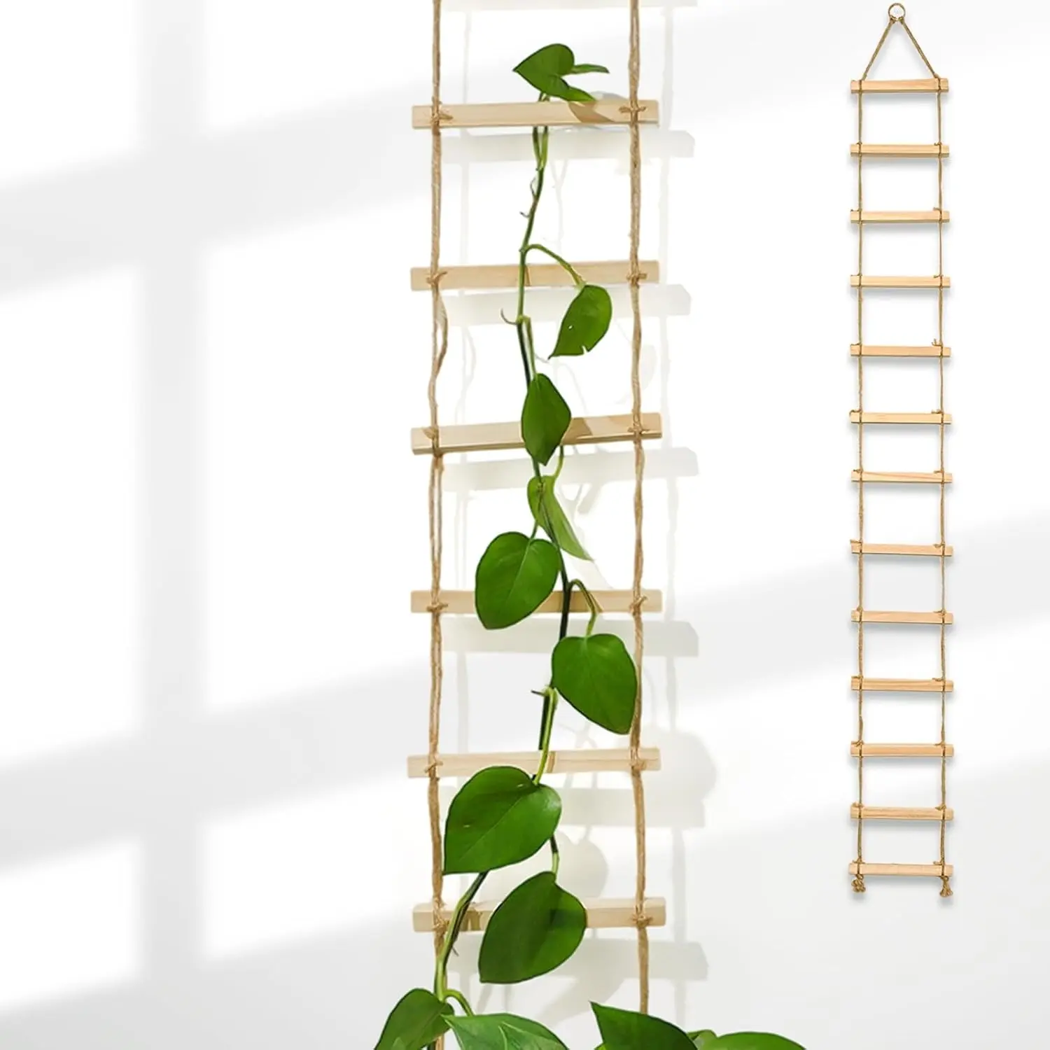 Wood ladder chain trellis