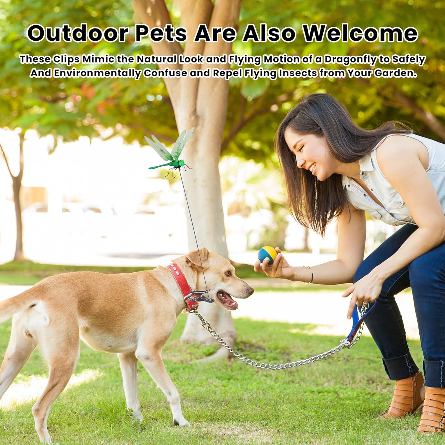 Dragonfly Clip,3D Dragonfly Garden Stakes Decor,Fly Deterrent,Dragonfly Humming Bird Stakes,Deer and Horse,Bird and Fly Scare Devices for Indoor Outdoor Garden (8pcs)