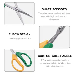 Sturdy Garden Fruit And Grape Pruning Shears With Soft Handles And Curved Blades Multifunctional Alice Garden Scissors
