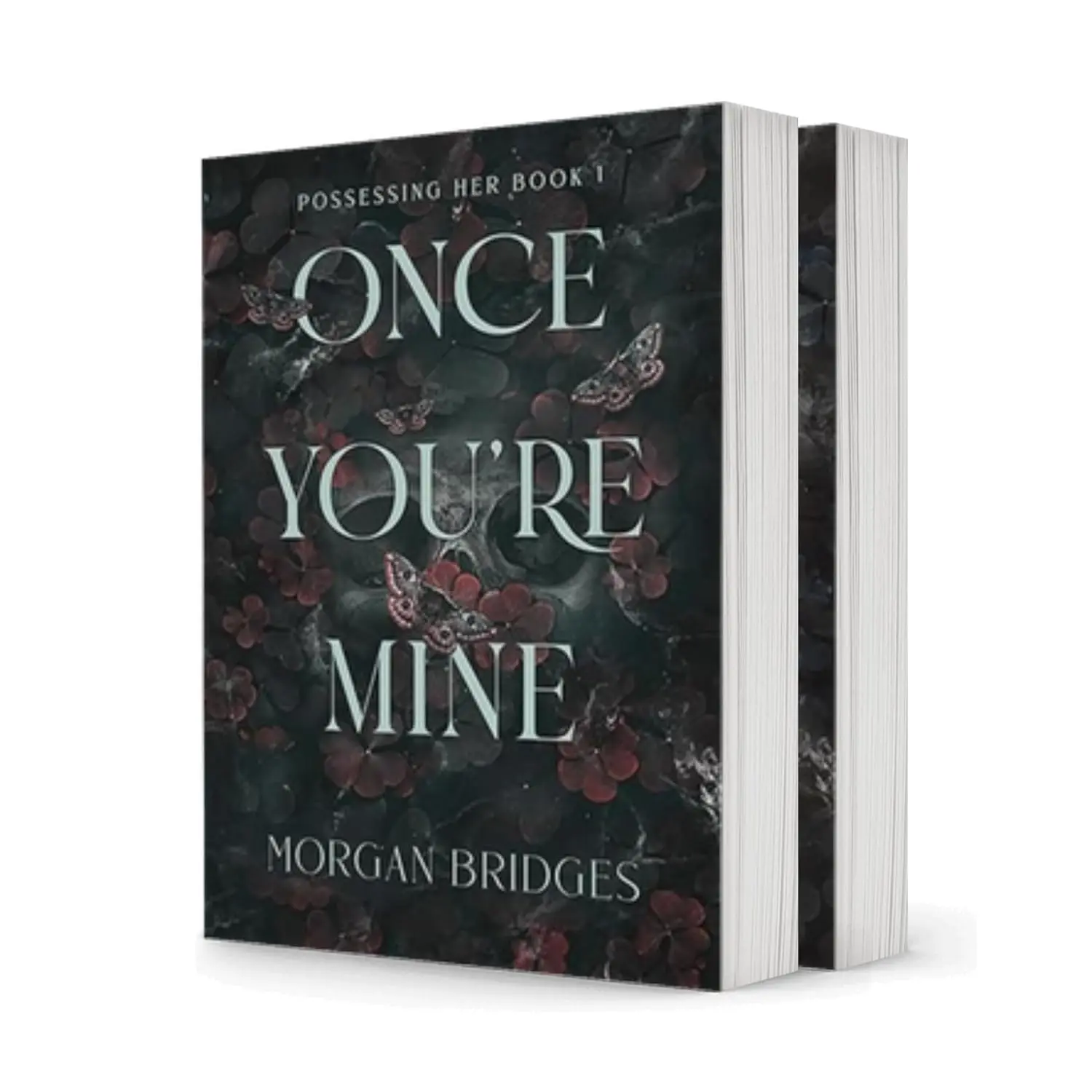 Possessing Her Series 2-Book Collection by Morgan Bridges | Once You're Mine & Now You're Mine | Dark Romance Set