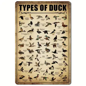 Type Of Duck Tin Sign Duck Hunting Decor Mallard Ducks Knowledge Metal Signs Vintage Duck Hunting Decorations For Home Kitchen Bathroom Duck Wall Art Decor Poster 8X12 Inches