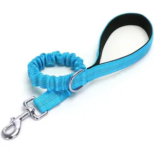 2FT Bungee Dog Leash, Highly Reflective Strong Nylon Traffic Leash, Shock Absorbing Short Pet Lead for Large Medium Dogs Walking Training Controlling, Blue