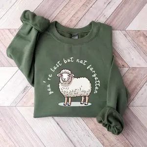 You 're Lost But Not Forgotten Sweatshirt, Luke Lost Sheep Christian sweatshirts gift, Lamb Jesus