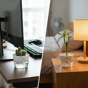 Modern Minimalist Plant Pot | Stylish Indoor Planter for Home & Office Decor