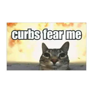 Curbs Fear Me, Car Bumper MAGNET, Funny Cat Meme, Gen Z Unhinged, Magnetic Car Decal, Cute Car Accessory, Waterproof Vinyl