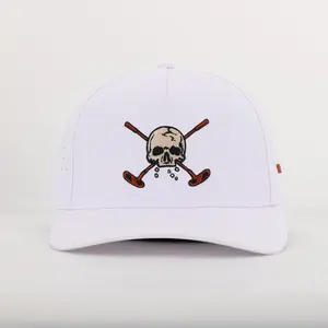 White Skull and Crossbones 2.0 Hat
