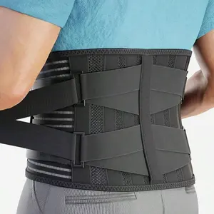 Lumbar Support Belt For Lower Back, Breathable Back Brace For Men/Women Working, Studying, Exercising, Non-Slip Lumbar Support Belt Gym Accessories, Perfect Gift For Family, Friends