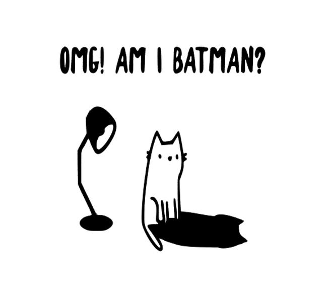 OMG Am I Batman Funny Cat 5x6 Vinyl Decal