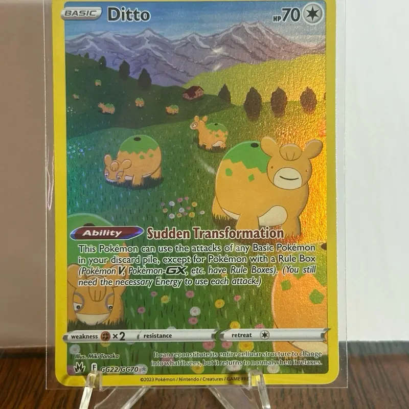Ditto GG22/GG70