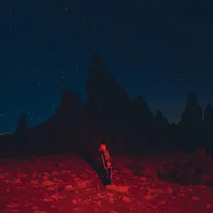 Phoebe Bridgers - Punisher Vinyl LP