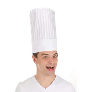 Adult Disney Ratatouille Remy Hidden Costume Hat (© Disney/Pixar)