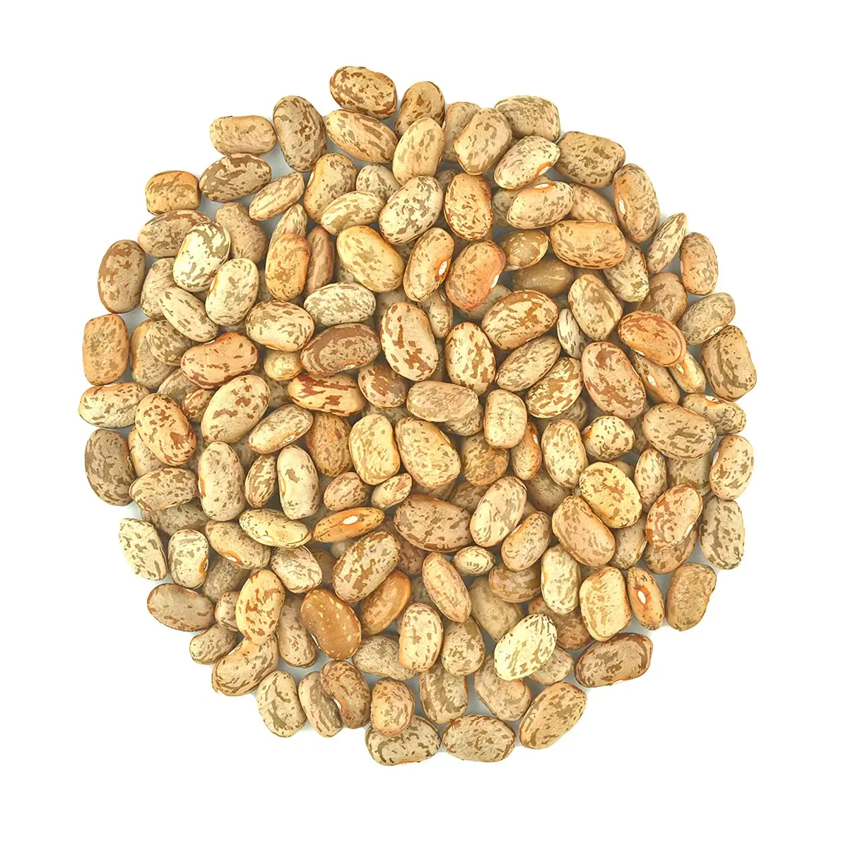 Organic Pinto Beans - USA-Grown, Raw, GMO-Free, Vegan, Bulk Pantry Food, High Protein, Fiber Rich, Refill Pouch, All Ages Healthier Choice, Home Cooking