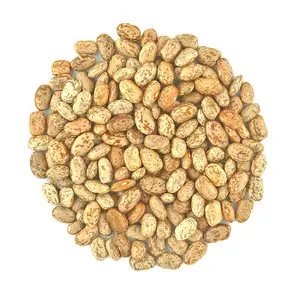 USA Grown Organic Pinto Beans Raw non-GMO Vegan Bulk