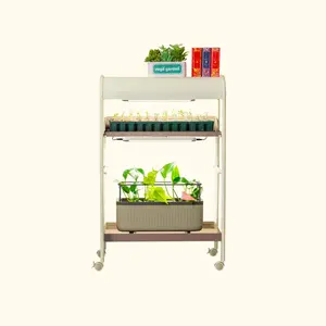 Vego 2 Tier Grow Light Garden for Indoor Hydroponics Growing Kit with Vego Gardening Tools