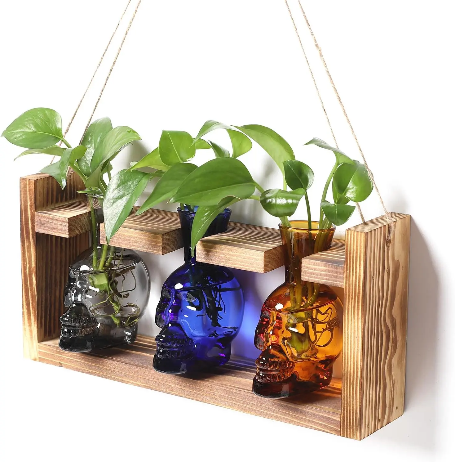 Terrarium Propagation Stations Hydroponics Halloween Skull Planter Vase Skulls Decor with Wooden Stand  for Father