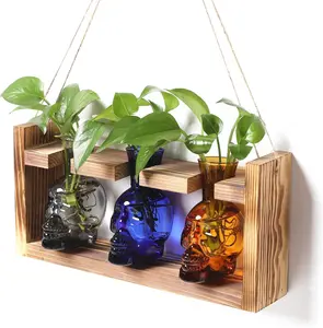 Terrarium Propagation Stations Hydroponics Halloween Skull Planter Vase Skulls Decor with Wooden Stand  for Father