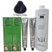 1V Violet Black/Negro Violeta