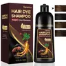Hair Dye Shampoo 3-in-1: Instant Hair Color Shampoo for Gray Hair - Ideal for Women & Men, Long-Lasting Dye Shampoo Black for Color Treated Hair, Champu Para Canas, Easy to Use, 500 ML