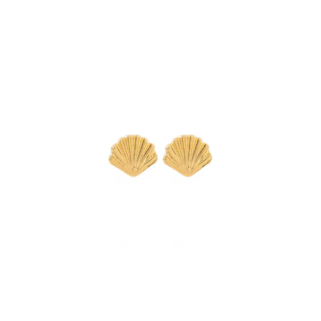 Sea Shell Studs