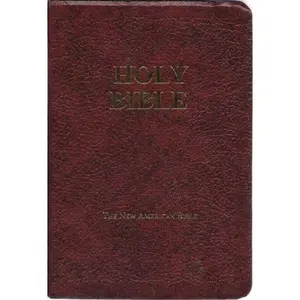 USED-The New American Bible-Fireside Study Edition (Paperback)