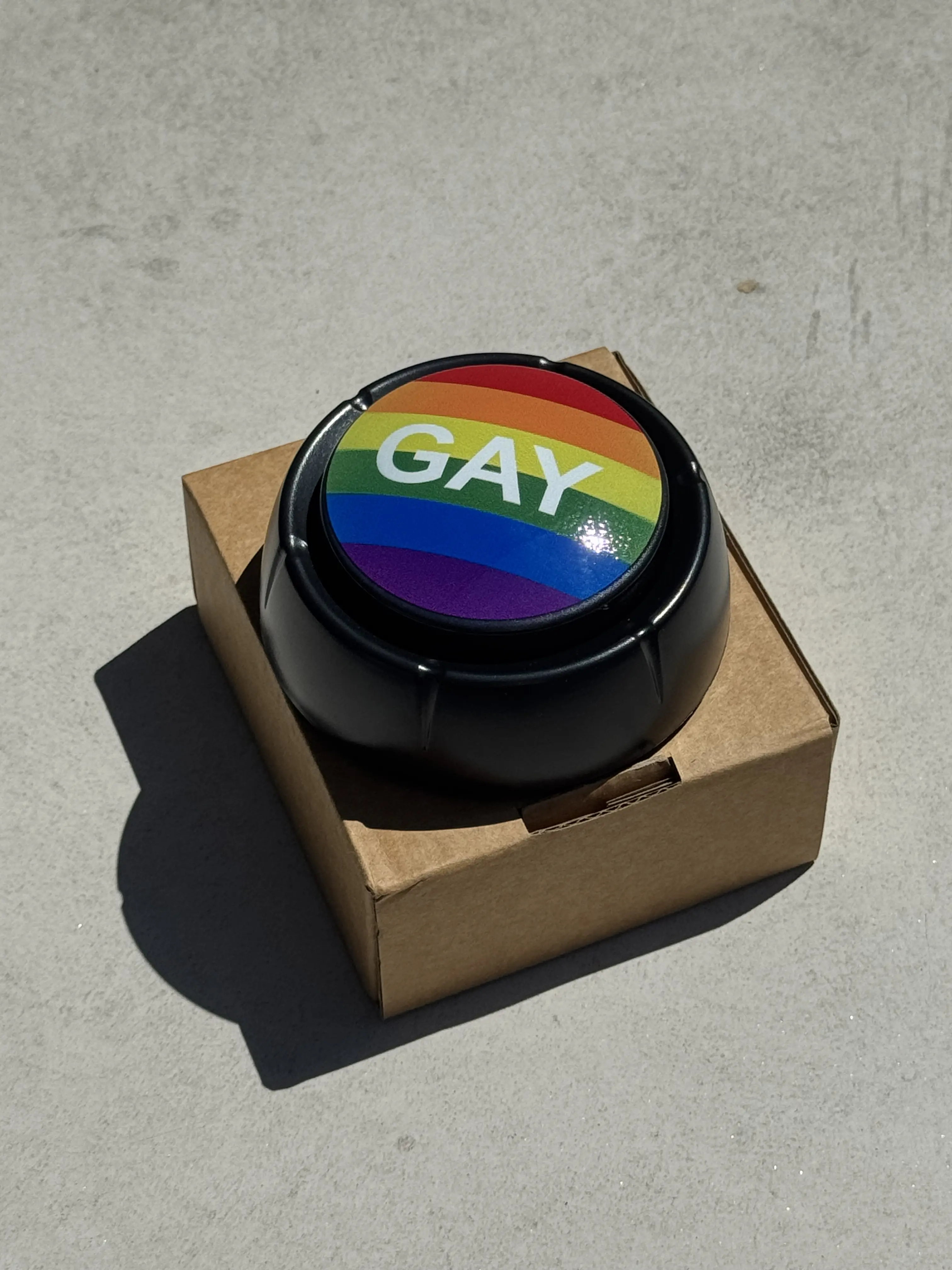 Rainbow Gay Sound Button – Funny Novelty Gag Button