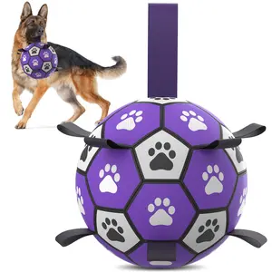 Interactive Dog Toys Ball with Claw Print, Durable Nylon Material, Indoor & Outdoor Play, Includes Manual Pump, Pet Gift, Interactive Training Ball