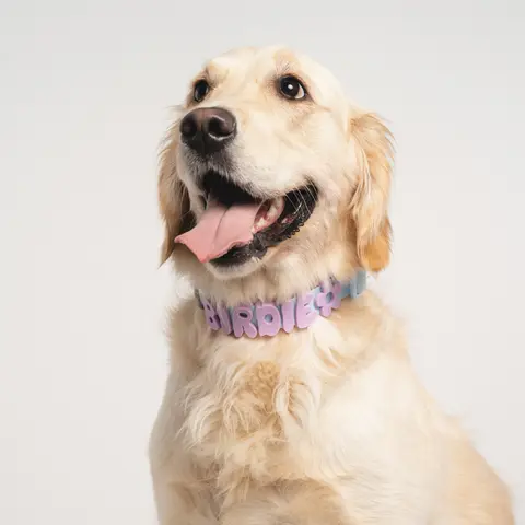 Silicone Dog Charms | Letters & Symbols for Personalized Dog Collars and Leashes - Lilac