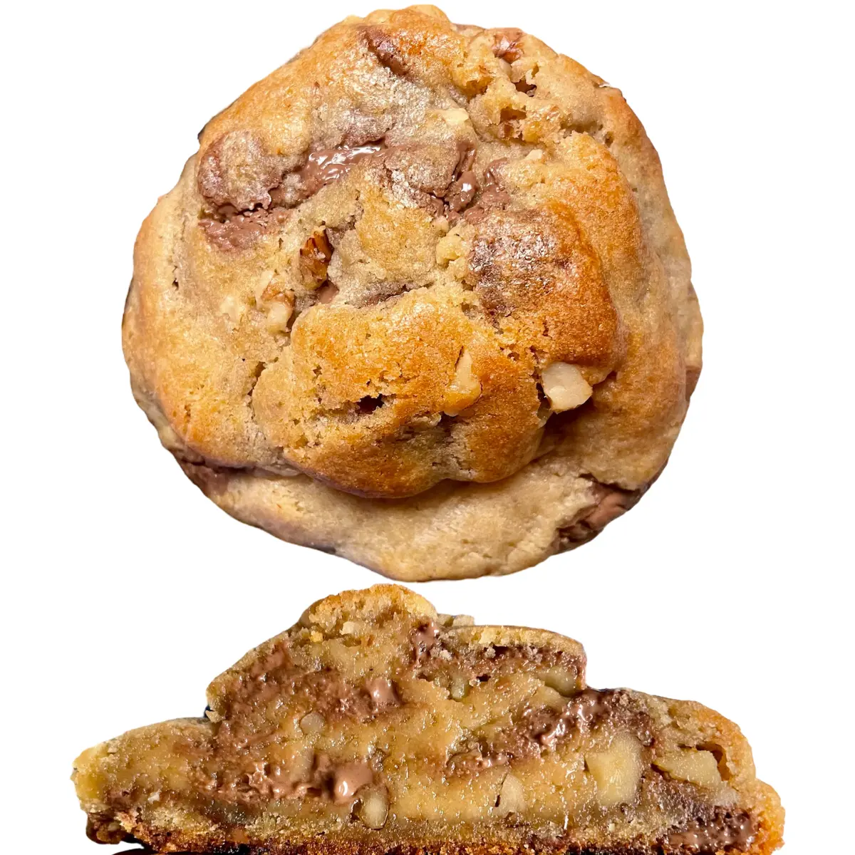 Classic Walnut Chocolate Chip Gourmet Cookie