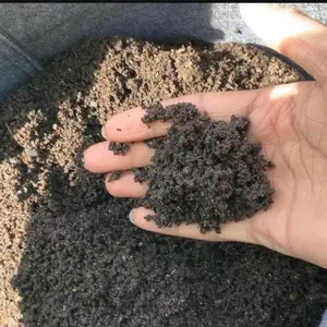Worm Castings 1lb Natural Earthworm Byproduct for Soil Fertility & Plant Growth - Enhances Nutrients & Improves Aeration