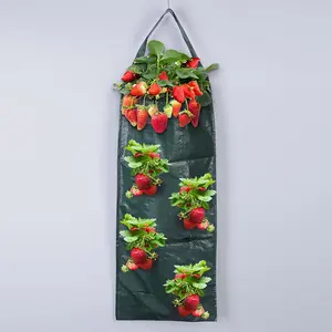 1pc Wall-mounted Strawberry Grow Bag, Hanging Multi-hole Strawberry Planter Bag, Planting Bag. Ideal for balconies and patios to grow pothos and vegetables. Breathable, drainable, biodegradable, durable and reusable.