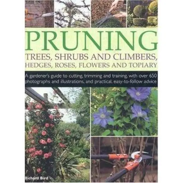 USED-Pruning Trees, Shrubs & Climbers by Richard Bird (Paperback)