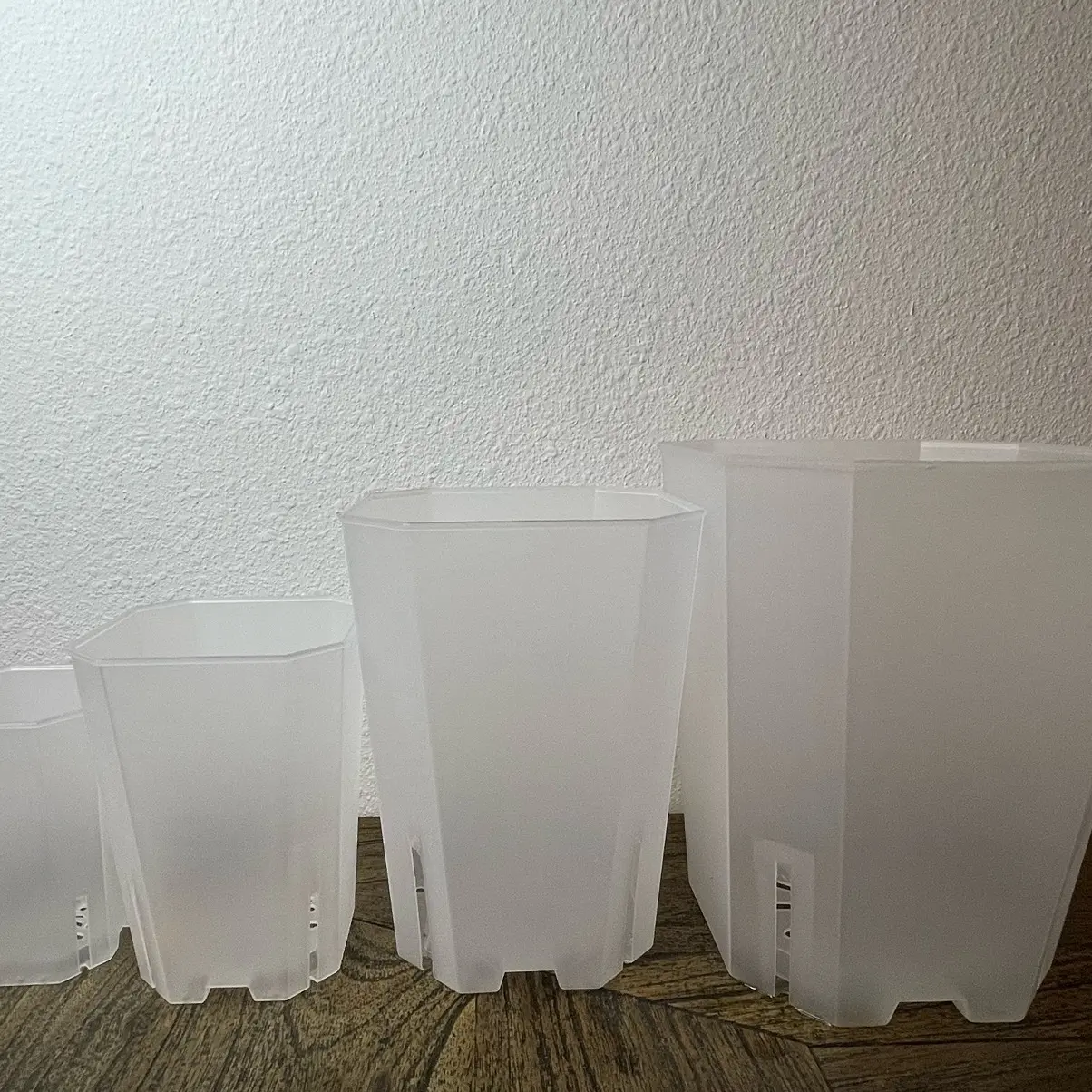 5 pieces 6” clear nursery pot