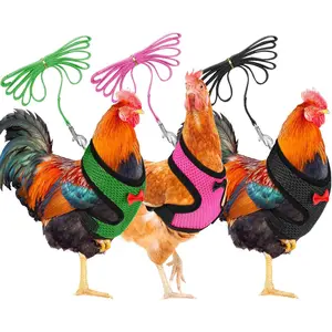 3 Pieces Adjustable Chicken Harness and Leash Set Spring Summer Breathable Comfortable Elastic Hen Vest Breathable Harness for Hens Duck Goose Pet Training Walking Supplies(Black, Pink, Green,S)