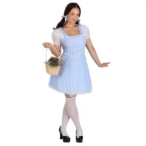 Women's Blue Gingham Costume Dress