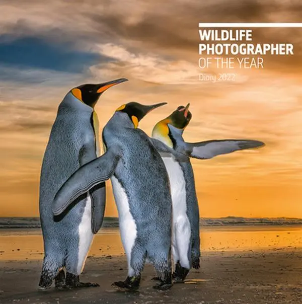 Used Wildlife Photographer of the Year 2022 Hardcover Desk Diary - Natural History Museum, Photography Notebook for Office Stationery Needs