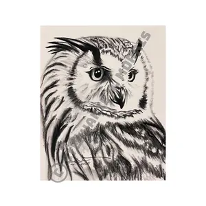 “Owliver” Limited Edition Print