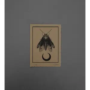 Moth 7  - High-Quality Print