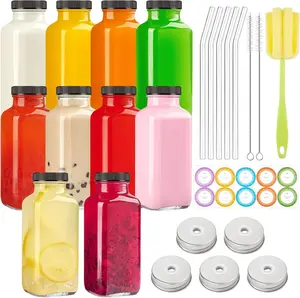 10 PACK 16 Oz Glass Juice Bottles with ,  Travel Drinking Jars Juice Containers, Glass Bottles for Juicing with Brush, Straws,  with Hole