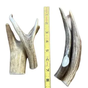 Antler Chews for Dogs 2 Pack Small - Natural Antler Material, Lightweight and Suitable for All Dog Grooming Needs