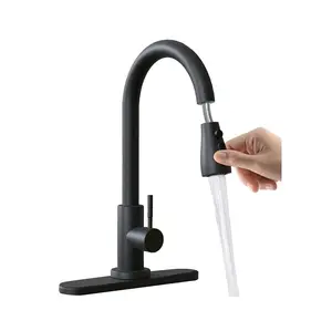 Kitchen Faucets with Pull Down Sprayer - Kitchen Sink faucets - Single Level Stainless Steel- Matte Black