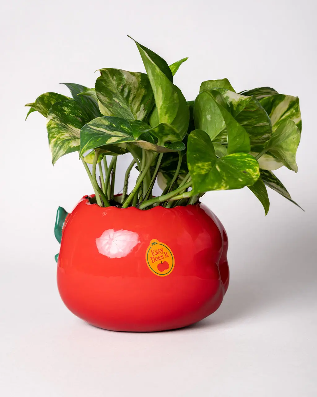 Apple Planter Apple Planter