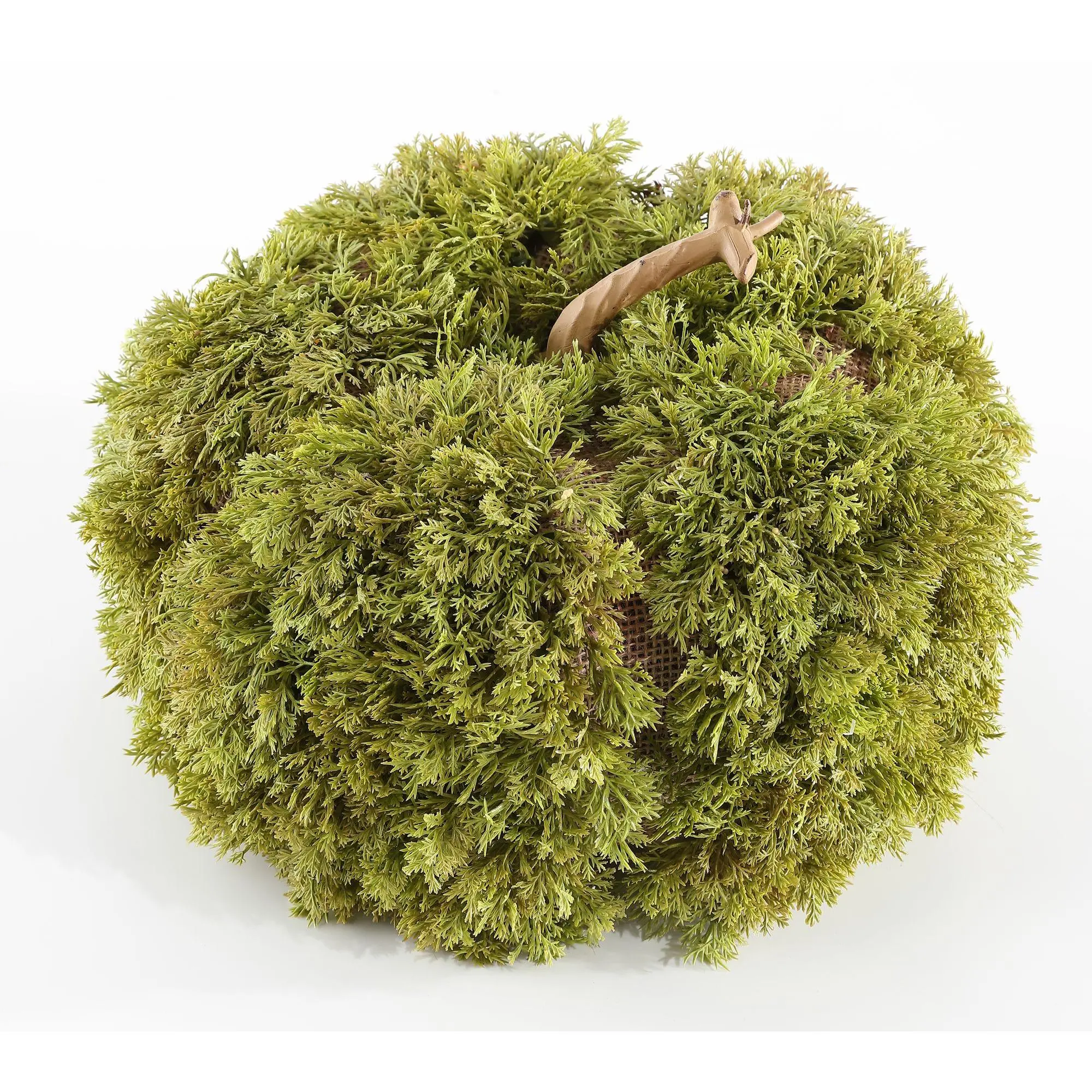 Safavieh Faux 10" Moss Pumpkin