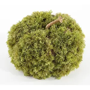 Safavieh Faux 10" Moss Pumpkin