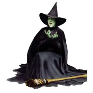 212 MAIN Wizard of Oz Wicked Witch Melting Life-Size Cardboard Stand-Up Cutout, Wizard Theme Decoration, Party Wall Home Decor