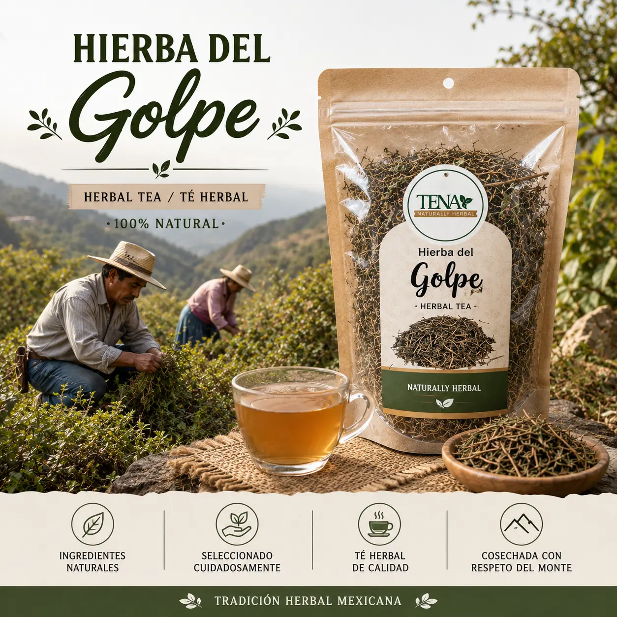 Hierba del Golpe Premium 4 oz Herbal Tea Bag – Traditional Herbal Infusion, Naturally Caffeine-Free & Aromatic – Herbal Beverage