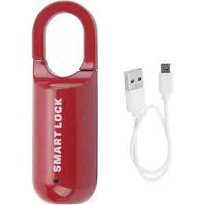 Padlock, USB Lock Anti Theft Thumbprint Padlock, Thumbprint Lock for Gym Locker School Locker Backpack Suitcase Luggage (red)