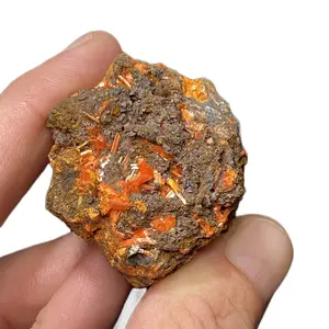 Crocoite Mineral Specimen from Red Lead Mine, Australia Decor